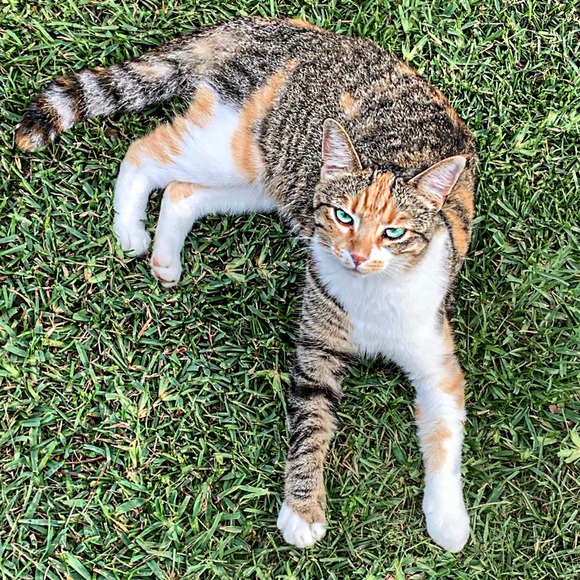 Meet your Posher, Bethany - Picture 5 of 9